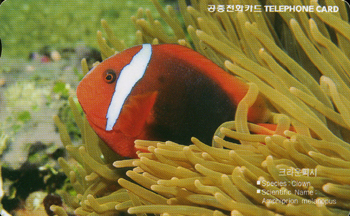 310-MO0001102-3KCG-ũ����ǽ�