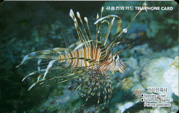 318-MO0004110-3KD-���̾� �ǽ�