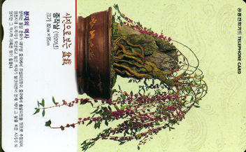 365-MO0106115-3-�������� ���� ���� ���ۻ�