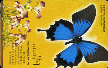 387-MO0201007-�������Ͼ�ūû�����񳪺�