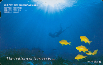 529-MO0306060-0-�ٴټ�ǳ��2