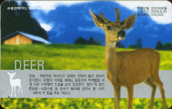 543-MO0308074-3-�罿