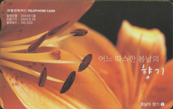 608-MO0405037-������ ���1