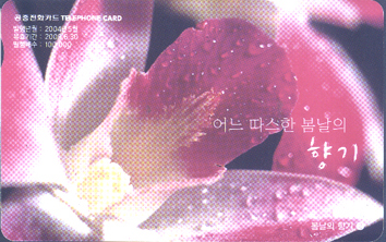 609-MO0405038-������ ���2