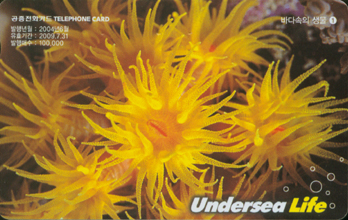 618-MO0406047-�ٴټ��� ���� 1