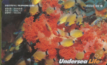 619-MO0406048-�ٴټ��� ���� 2