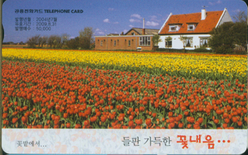 629-MO0407058-���� ������ �ɳ���(�ɹ翡��)