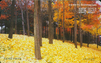 631-MO0407060-��ô�׸�����