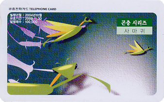 646-MO0410075-���� �ø���(�縶��)