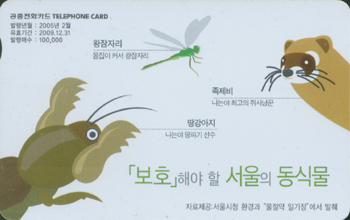 678-MO0502009-�����ڸ�