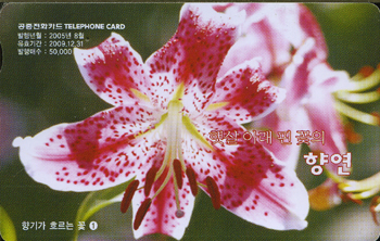 718-MO0508049-5-��Ⱑ �帣�� �� 1