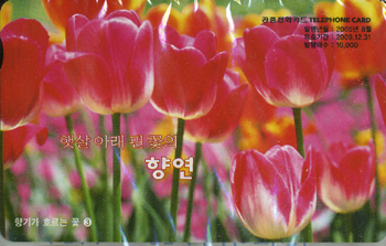 MO0508051-0-�޻� �Ʒ� �� ���� �⿬-3(�̻��)