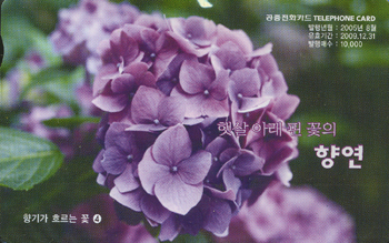 MO0508052-0-�޻� �Ʒ� �� ���� �⿬-4(�̻��)