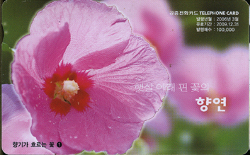 753-MO0603012-�⿬-��Ⱑ �帣�� ��-1