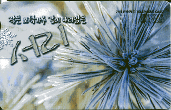 808-MO0703011-5-���� �������� ���� �������� ����(VF-��ǰ)