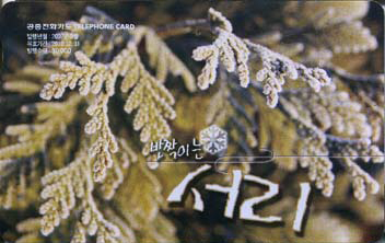 809-MO0703012-0-��¦�̴� ����(VF-��ǰ)