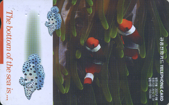 819-MO0706022-3-The bottom of sea is (VF-��ǰ)