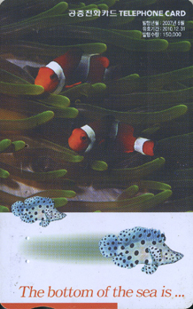 819-MO0706022-3-The bottom of sea is (VF-��ǰ)