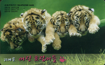 820-MO0706023-5-�Ϳ��� � ȣ���̵� (VF-��ǰ)