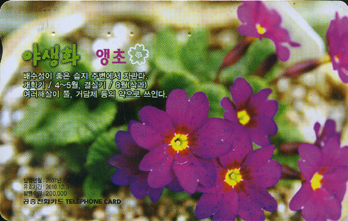 822-MO0707025-0-�߻�ȭ ���� (VF-��ǰ)