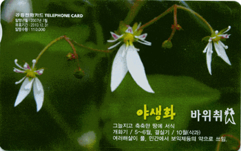 823-MO0707026-5-�߻�ȭ ������(VF-��ǰ)