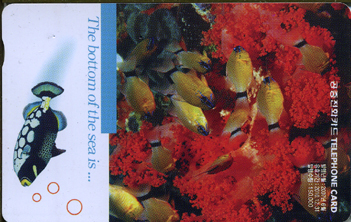 818-MO0706021-3-The bottom of sea is (VF-��ǰ)