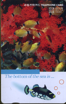 818-MO0706021-3-The bottom of sea is (VF-��ǰ)