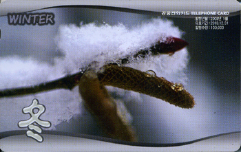 840-MO0801001-3-�ܿ�.(�����/VF/��ǰ)