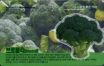 851-MO0804012-0-����ݸ�-broccoli(�����/VF/��ǰ)