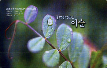 853-MO0805014-5- Ǯ�����ӱ����̽�(�����/VF/��ǰ)