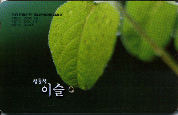 854-MO0805015-0- �������̽�(�����/VF/��ǰ)