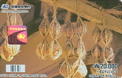 ���ӵ���ī��/ ���� 1 �����