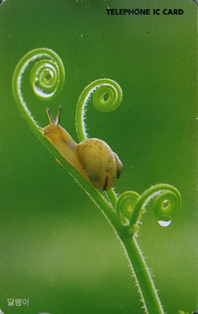 IC00D00164-5-������