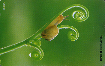 IC00D00164-5-������