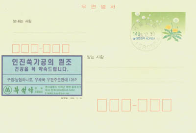 1998/�ϼ��ǿ������չ���