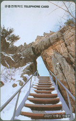 MC00D00667-2-�ݰ��� ������ �ϴù�(�����-VF-��ǰ)