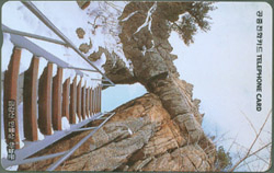 MC00D00667-2-�ݰ��� ������ �ϴù�(�����-VF-��ǰ)