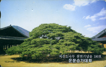 MC98009302-3K-��°�����(�����-F-����)