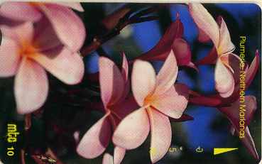 NMN-MM-15-Plumeria
