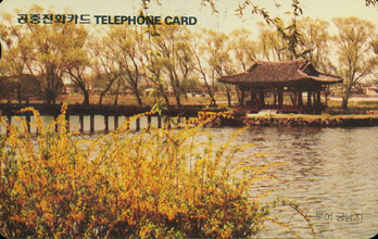 R128-O9502211-5-�ο� �ó���(�泲)-(�����/VF/��ǰ)