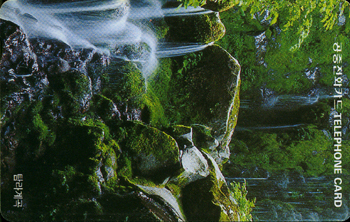 R153-O9508236-5-Ž����(����)-(�����/VF/��ǰ)