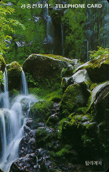 R153-O9508236-5-Ž����(����)-(�����/VF/��ǰ)