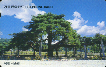 R204-O9608238-5-��õ ���۷�(�뱸)-(�����/VF/��ǰ)