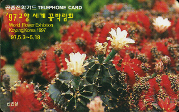 R236-O9704214-5-���缼��ɹڶ�ȸ������(���)-(�����/VF/��ǰ)