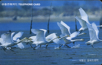 R298-MO0002204-3-������ö��������(�λ�)-(�����/VF/��ǰ)