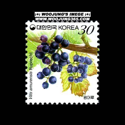 2001/ ���� �ոӷ� 30��