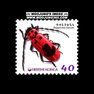 2000/���� ������ȫ�ϴü� 40��