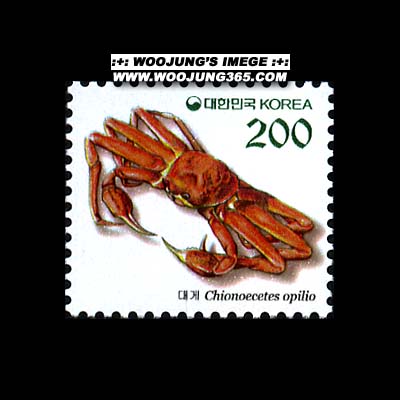 2001/ ���� ��� 200��