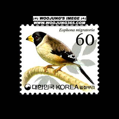 2002/ ���� ��ȭ�θ� 60��