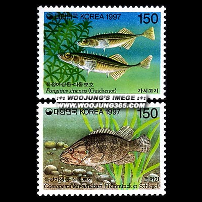 1997/ Ư�� �߻���.�Ĺ���ȣ ��4�� 2��